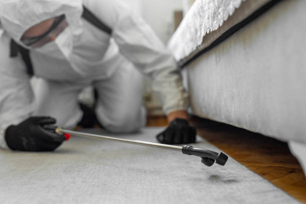 Professional Bed Bug Control technician working in La Fayette, AL